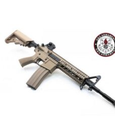 Réplique CM16 Raider long Tan AEG G&G