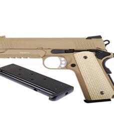 WE Desert Warrior 4.3 Tan avec rail GBB