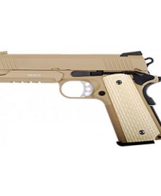 WE Desert Warrior 4.3 Tan avec rail GBB