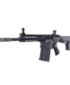 DT-4 Double barrel AEG Noir Classic Army