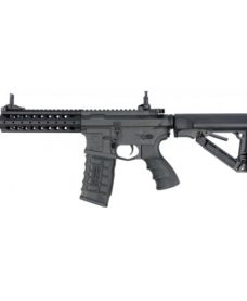 Fusil CM16 AEG airsoft FFR A2 G&G