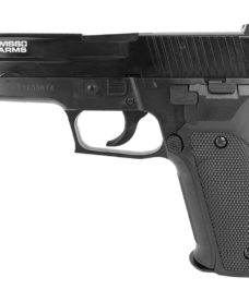 SIG Sauer airsoft P226 Navy noir